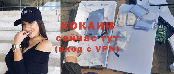 сатива Михайлов
