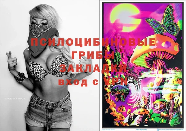 прущие крисы Михайловск