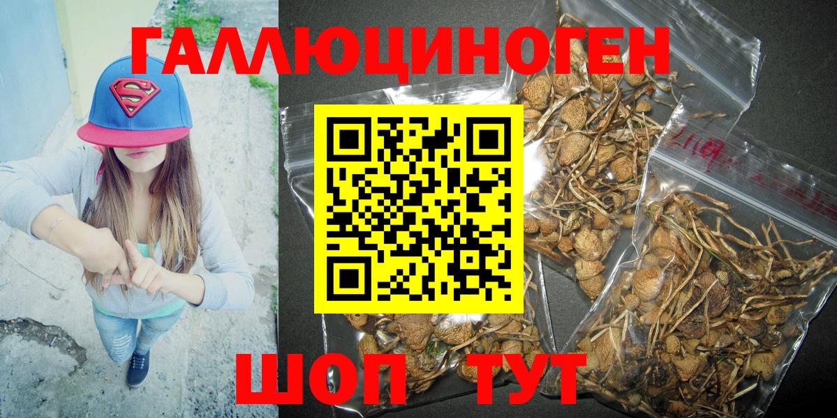 Псилоцибиновые грибы GOLDEN TEACHER  Вход с VPN  Тара 
